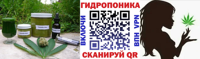 Купить закладки  Мураши  Печенье с ТГК марихуана 