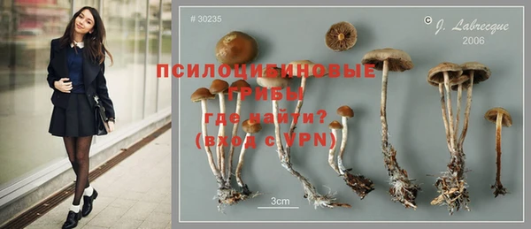 бошки Балахна
