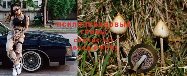 бошки Балахна