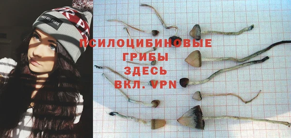 бошки Балахна