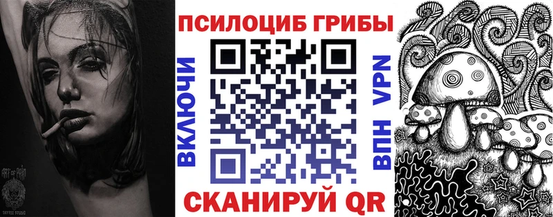 Купить где  Мураши  Галлюциногенные грибы Psilocybine cubensis 